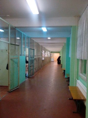 Школа 468 выборгского района санкт петербурга